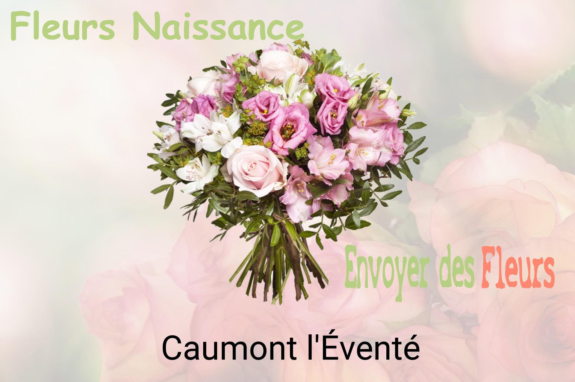 Bouquet de fleurs de naissance livré à Caumont-l'Éventé